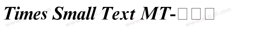 Times Small Text MT字体转换